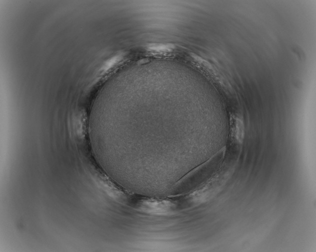 X0000110890712200906181246