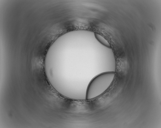 X0000110890713200906181246