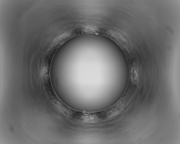 X0000110890714200906181246
