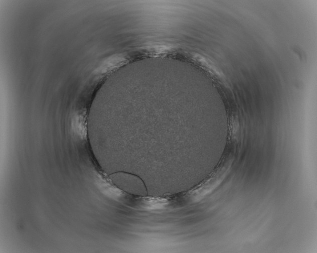 X0000110890719200906181246