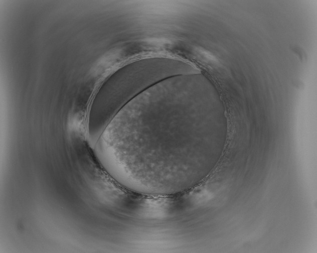 X0000110890720200906181246