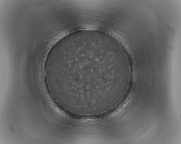X0000110890721200906181245