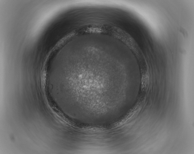 X0000110890722200906181245
