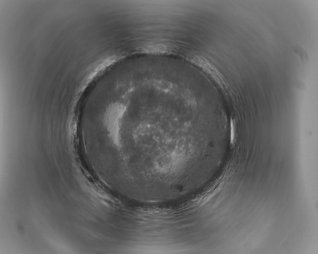 X0000110890723200906181245
