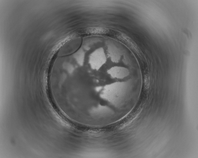 X0000110890725200906181245