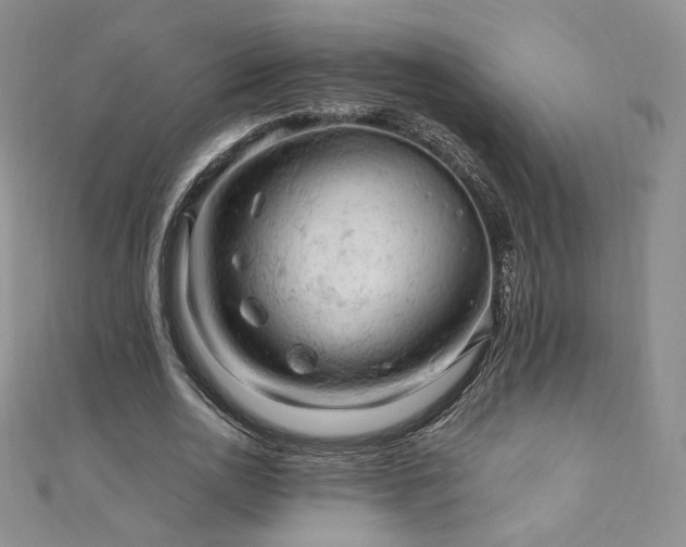 X0000110890726200906181245
