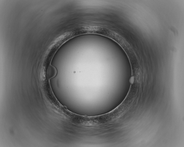 X0000110890731200906181245