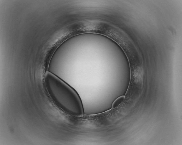 X0000110890732200906181245