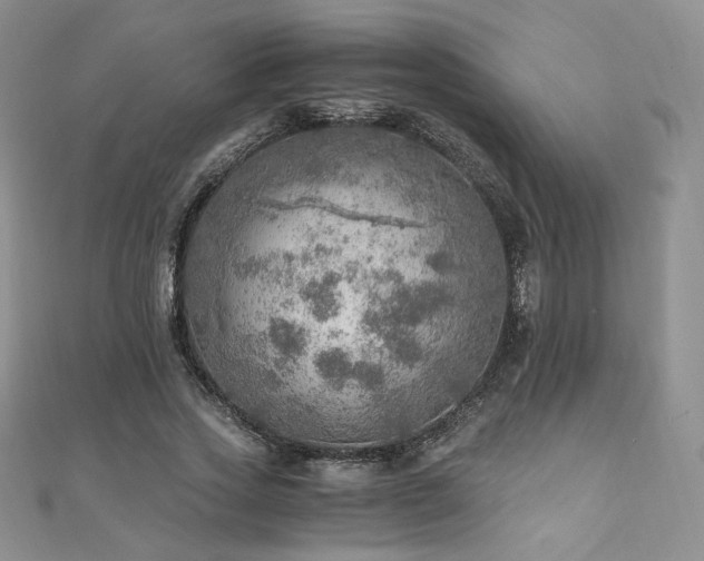 X0000110890733200906181245