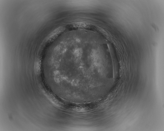 X0000110890735200906181245