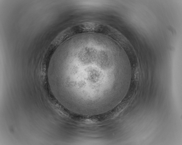 X0000110890737200906181245
