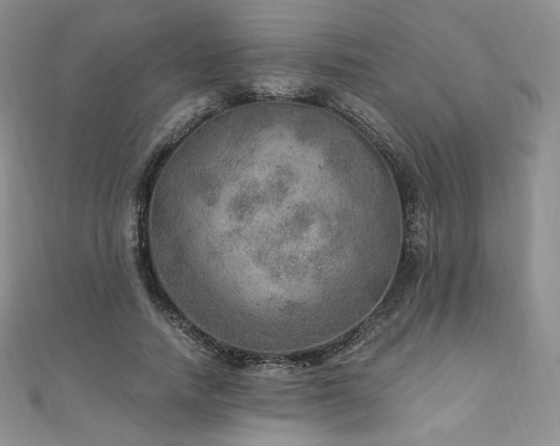 X0000110890738200906181245