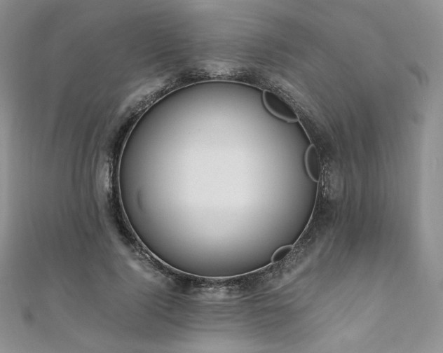 X0000110890740200906181245