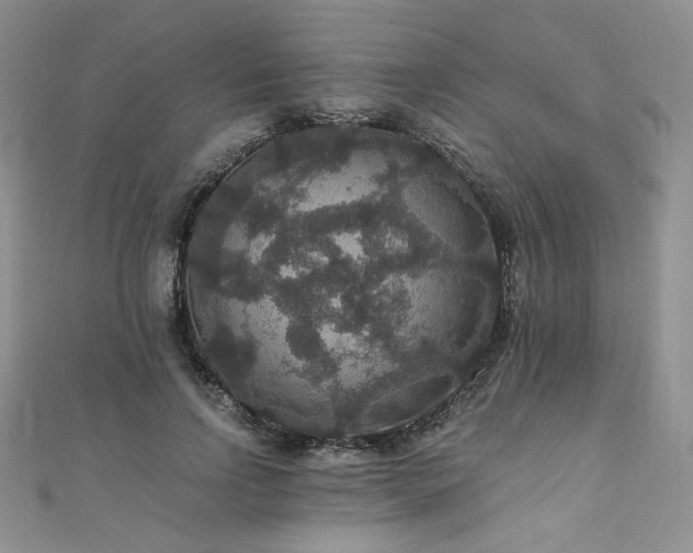 X0000110890742200906181245
