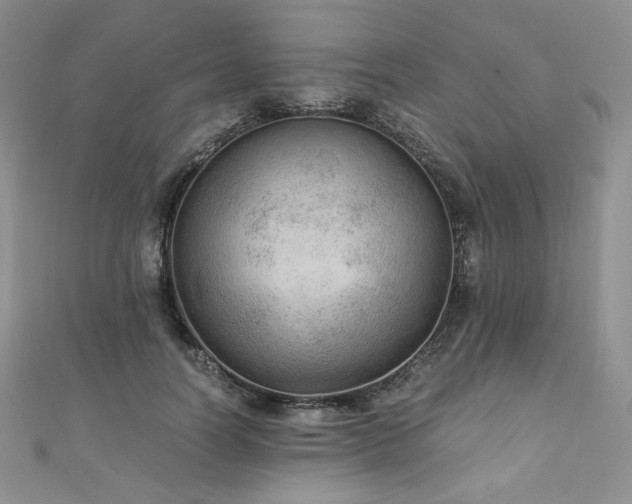 X0000110890746200906181245