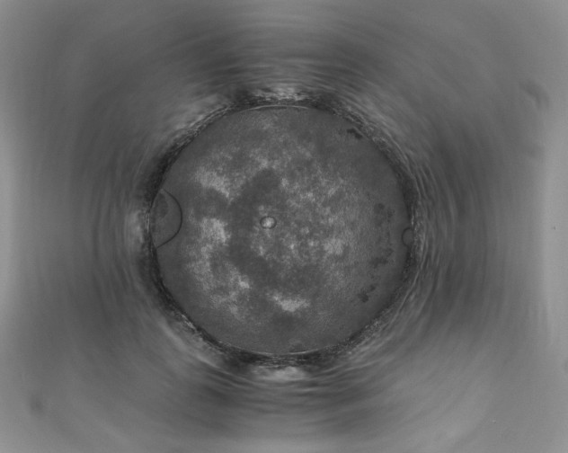 X0000110890747200906181245
