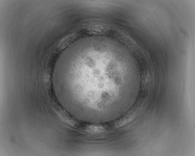 X0000110890749200906181245