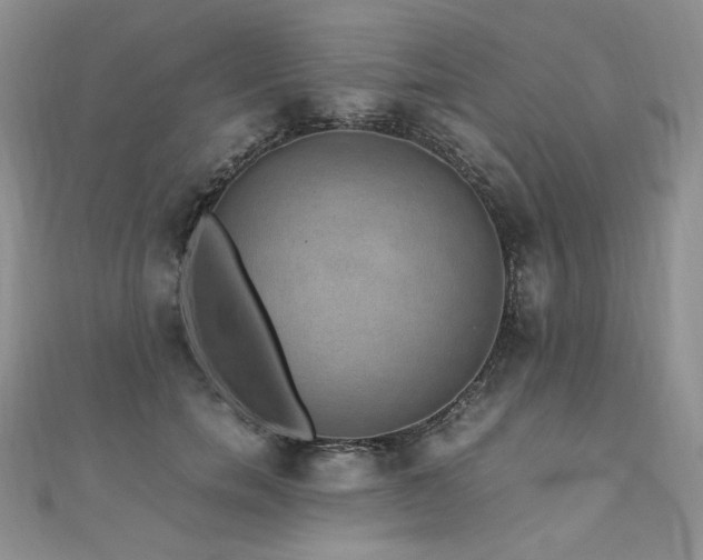 X0000110890750200906181245