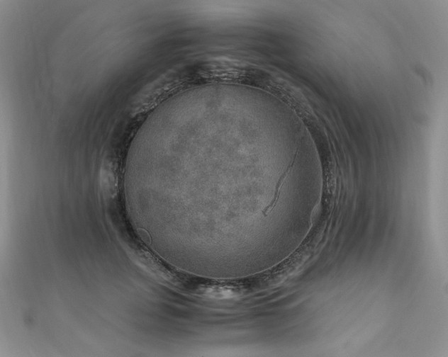 X0000110890751200906181245