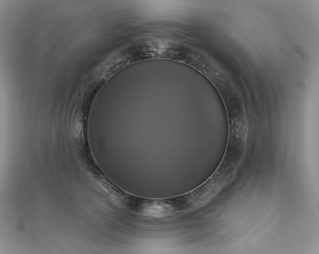 X0000110890754200906181246
