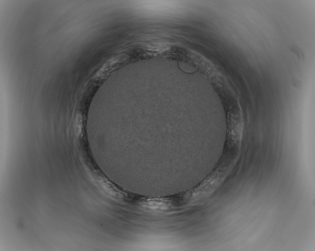 X0000110890758200906181246