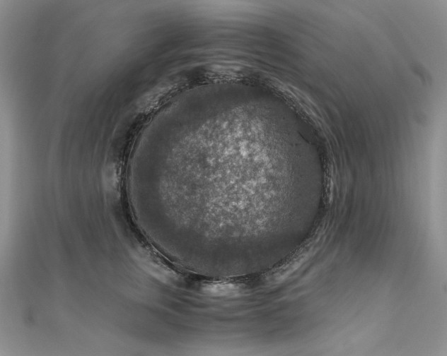 X0000110890759200906181246