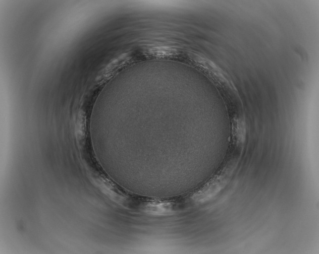 X0000110890760200906181246