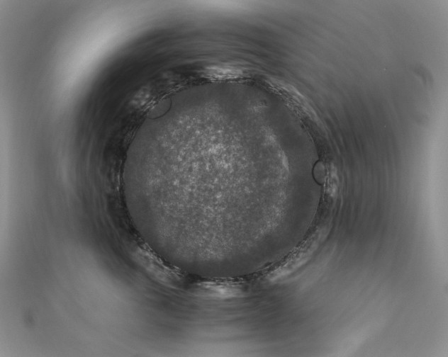 X0000110890763200906181246