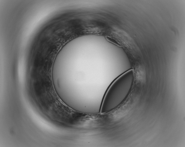 X0000110890764200906181246
