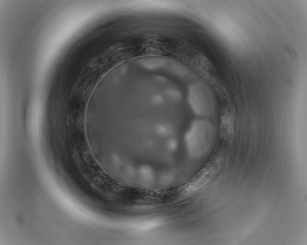 X0000110890765200906181246