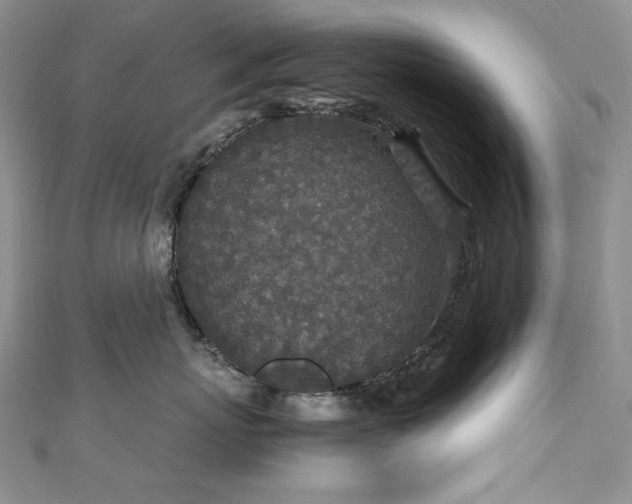 X0000110890767200906181246
