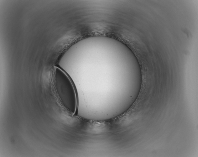 X0000110890768200906181246