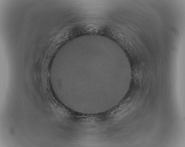 X0000110890769200906181245