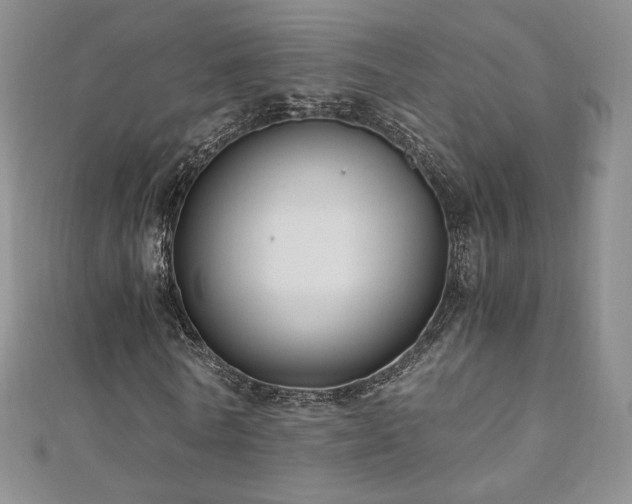 X0000110890770200906181245