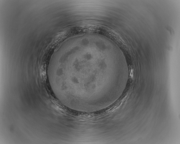X0000110890771200906181245