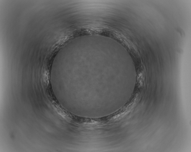 X0000110890772200906181245