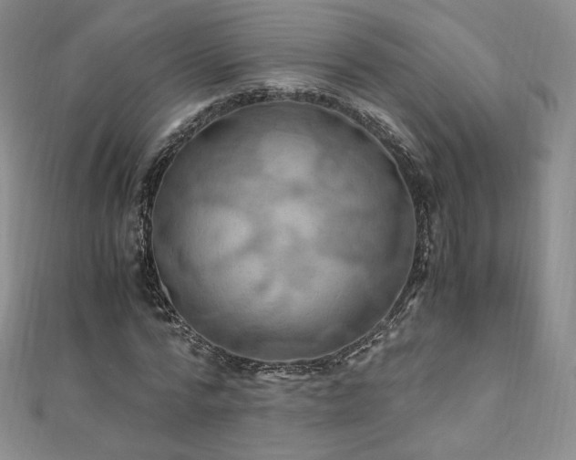 X0000110890776200906181245