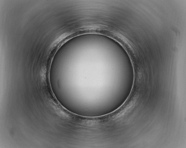 X0000110890778200906181245