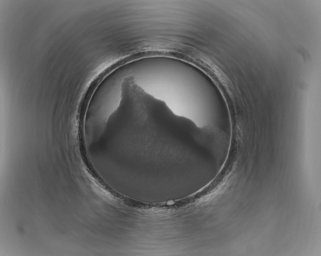 X0000110890779200906181245