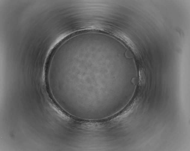 X0000110890780200906181245