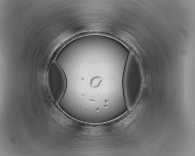 X0000110890781200906181245