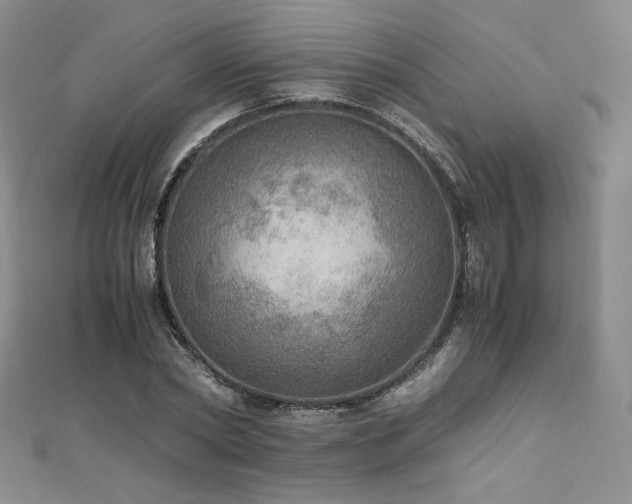 X0000110890782200906181245