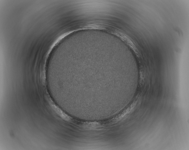X0000110890784200906181245