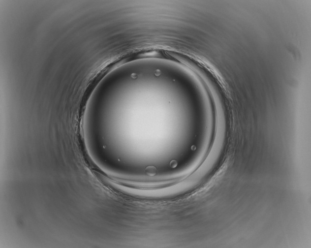 X0000110890785200906181245