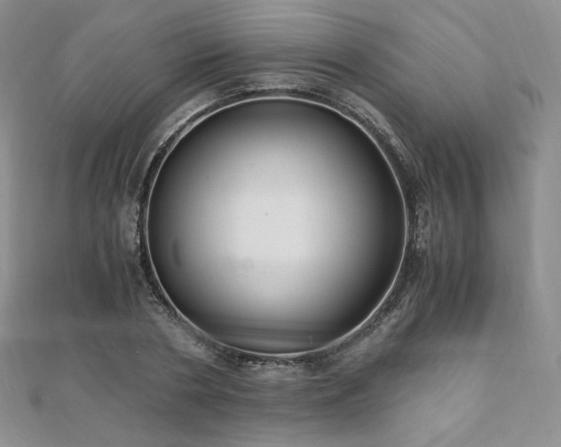 X0000110890786200906181245