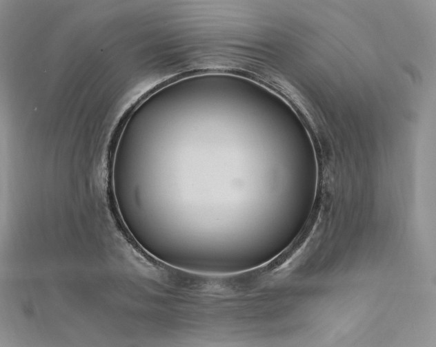 X0000110890787200906181245