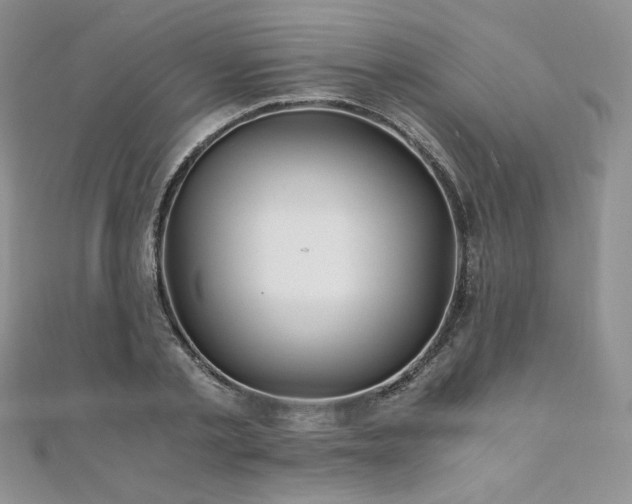 X0000110890789200906181245