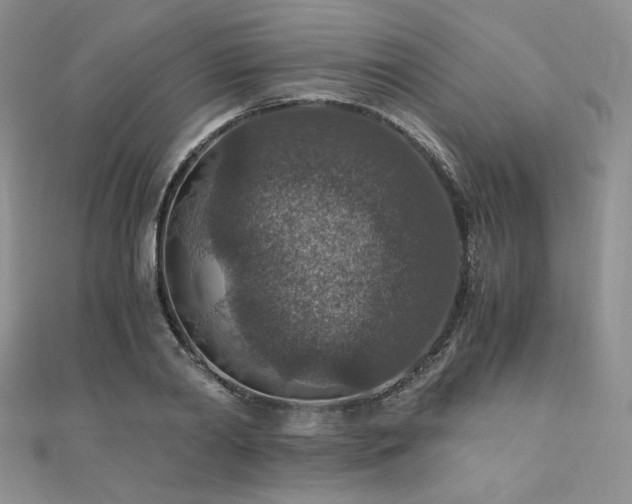X0000110890790200906181245