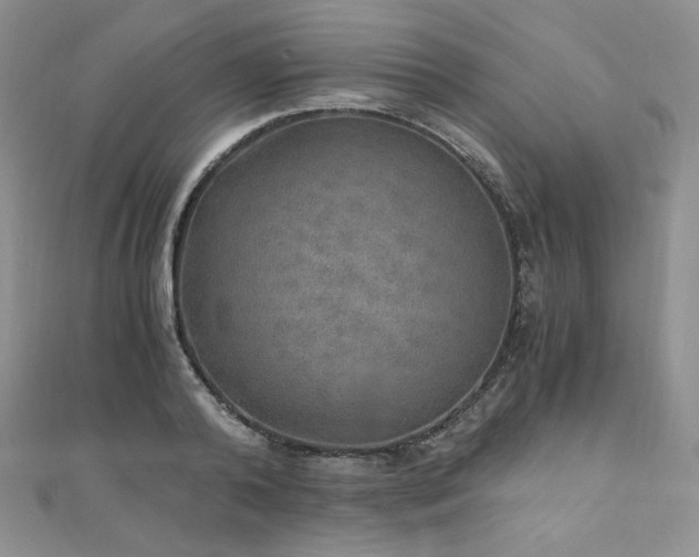 X0000110890792200906181245