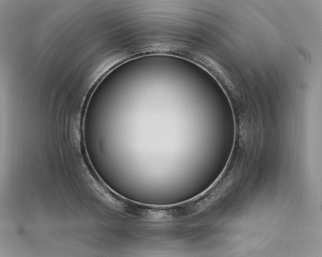 X0000110890794200906181245
